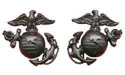US Marine Corps Collar Badge Rank Insignia Black Pin  